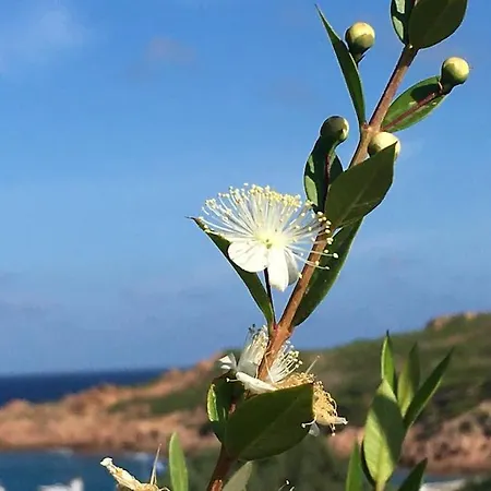 Apartament Casa Terrazzo B1.16, Costa Paradiso, Gallura *
